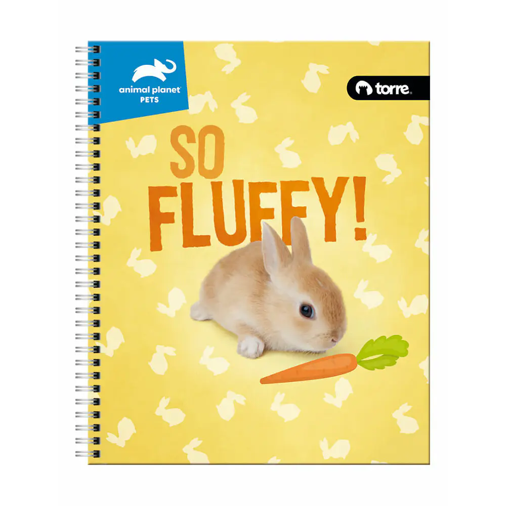 CUADERNO ESPECIAL CARTA - ANIMAL PETS