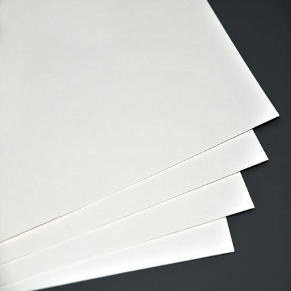 PAPEL FOTOGRAFICO OFICIO