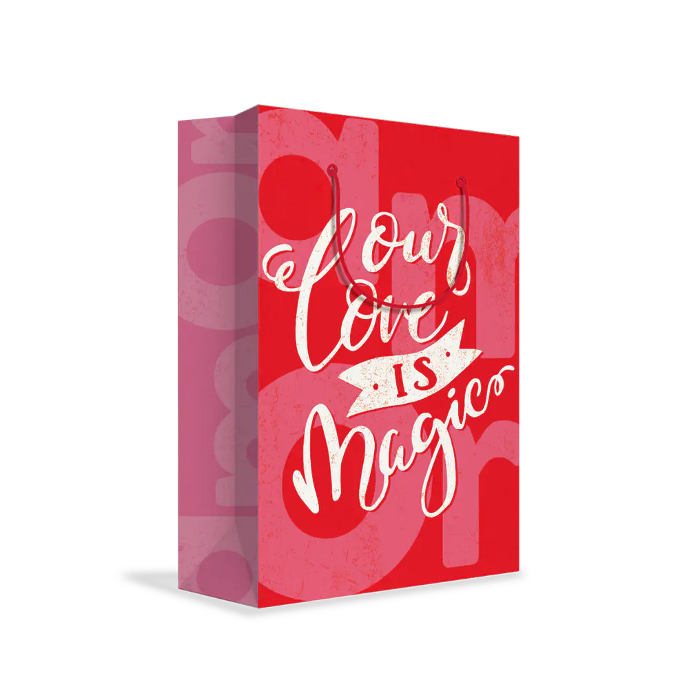 BOLSA DE REGALO AMOR 26X33X13CM 