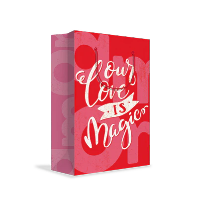 BOLSA DE REGALO AMOR 26X33X13CM 