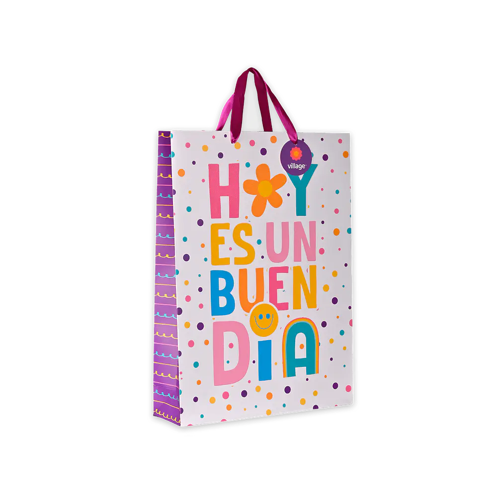 BOLSA DE REGALO TODA OCASION 33X46X10CM