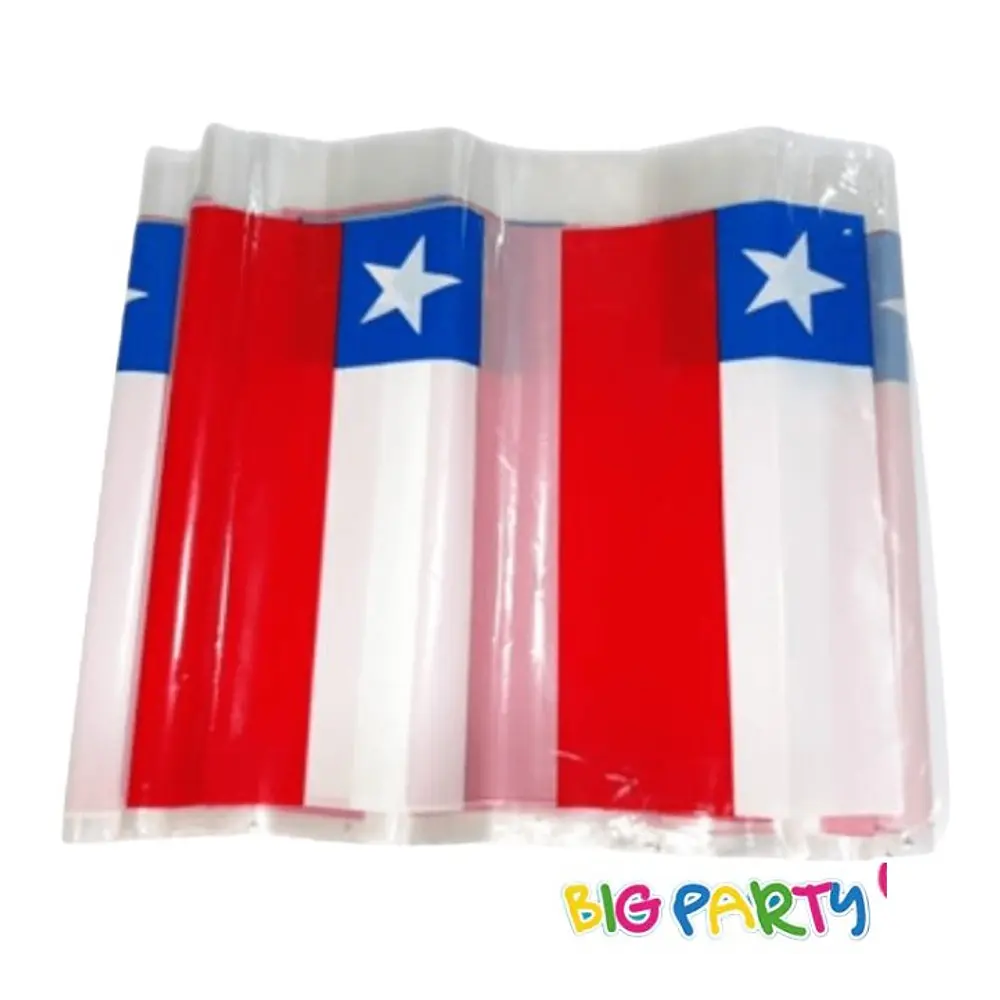 BANDERA PLASTICA TIRA DE 10 METROS 