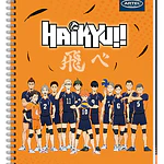 CUADERNO UNIVERSITARIO HAIKYU