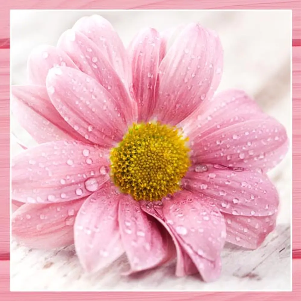SERVILLETA DECOUPAGE FLORES- DIFERENTES DISEÑOS