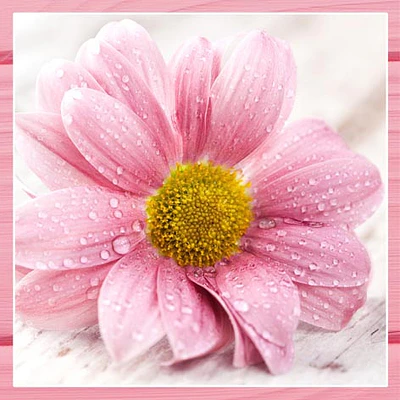 SERVILLETA DECOUPAGE FLORES- DIFERENTES DISEÑOS