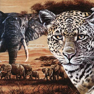 SERVILLETA DECOUPAGE NATURALEZA - DIFERENTES DISEÑOS