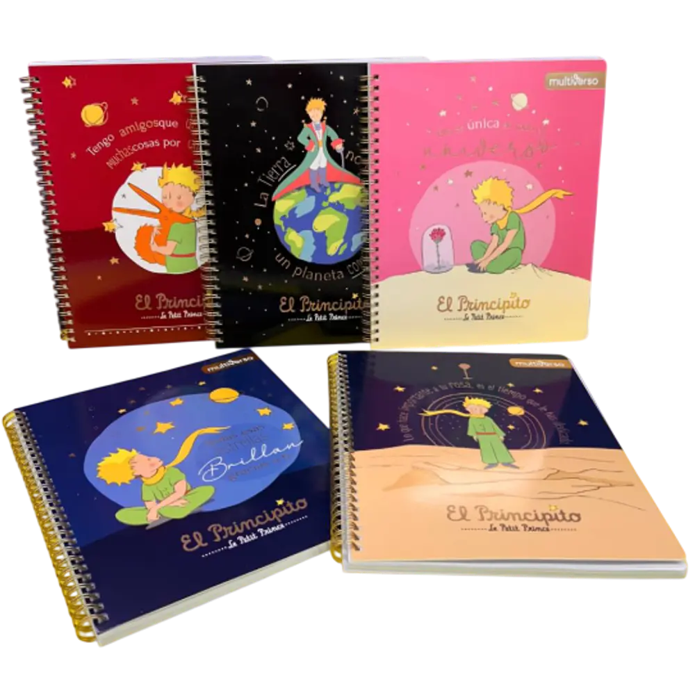 CUADERNO UNIVERSITARIO 100 HJS 7 MM PRINCIPITO 