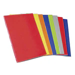 CARPETA PLASTIFICADA CON ARCHIVADOR RHEIN - DIFERENTES COLORES