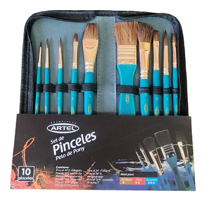 SET PINCEL PONY X10