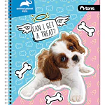 CUADERNO ESPECIAL CARTA - ANIMAL PETS