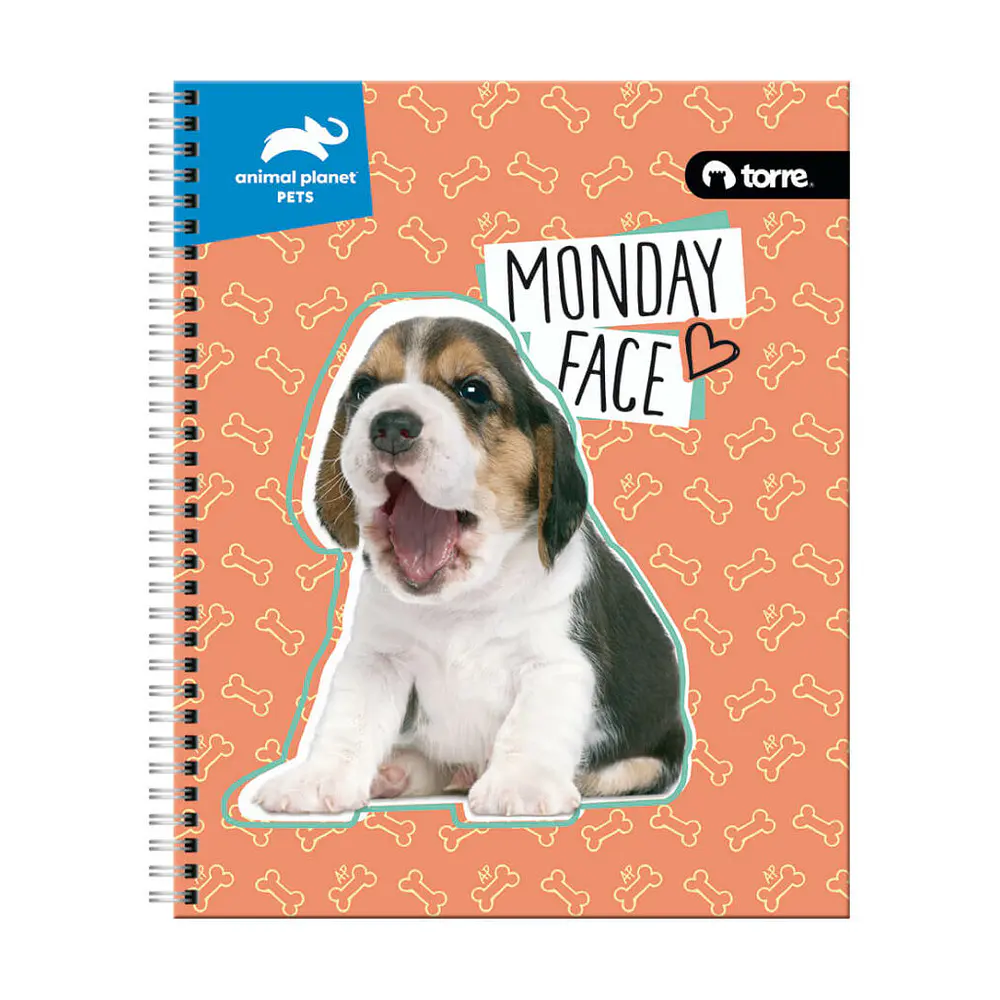 CUADERNO ESPECIAL CARTA - ANIMAL PETS