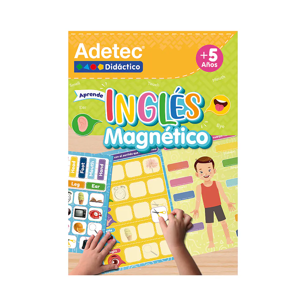 LÁMINA MAGNÉTICA INGLÉS