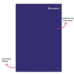 CARPETA CARTON CON GUSANO RHEIN - DIFERENTES COLORES