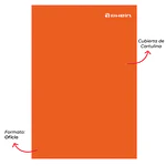 CARPETA CARTON CON GUSANO RHEIN - DIFERENTES COLORES