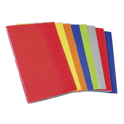 CARPETA CON ARCHIVADOR PLASTIFICADA INZUNZA  - DIFERENTES COLORES