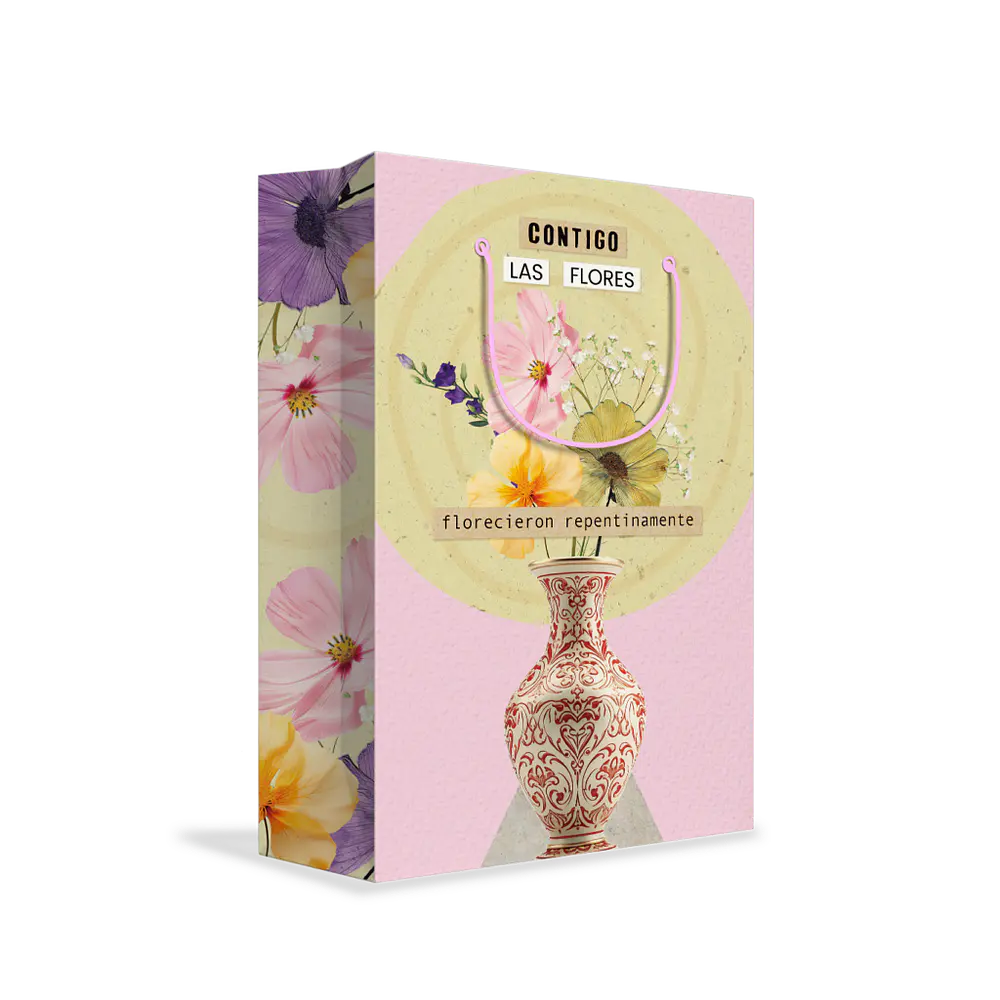 BOLSA DE REGALO AMOR 26X33X13CM 