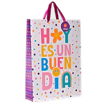 BOLSA DE REGALO TODA OCASION 33X46X10CM