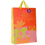 BOLSA DE REGALO TODA OCASION 33X46X10CM