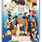 CUADERNO UNIVERSITARIO HAIKYU