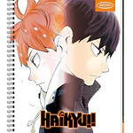 CUADERNO UNIVERSITARIO HAIKYU