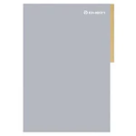 CARPETA CARTON CON PESTAÑA RHEIN - DIFERENTES COLORES