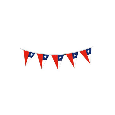 GUIRNALDA 10 BANDERINES BANDERA CHILENA 5MTS.