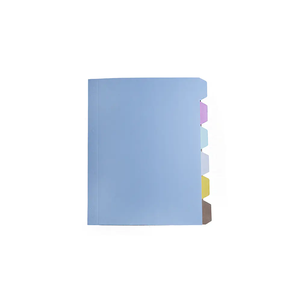 SEPARADOR CARTA 6 DIVISIONES COLORES