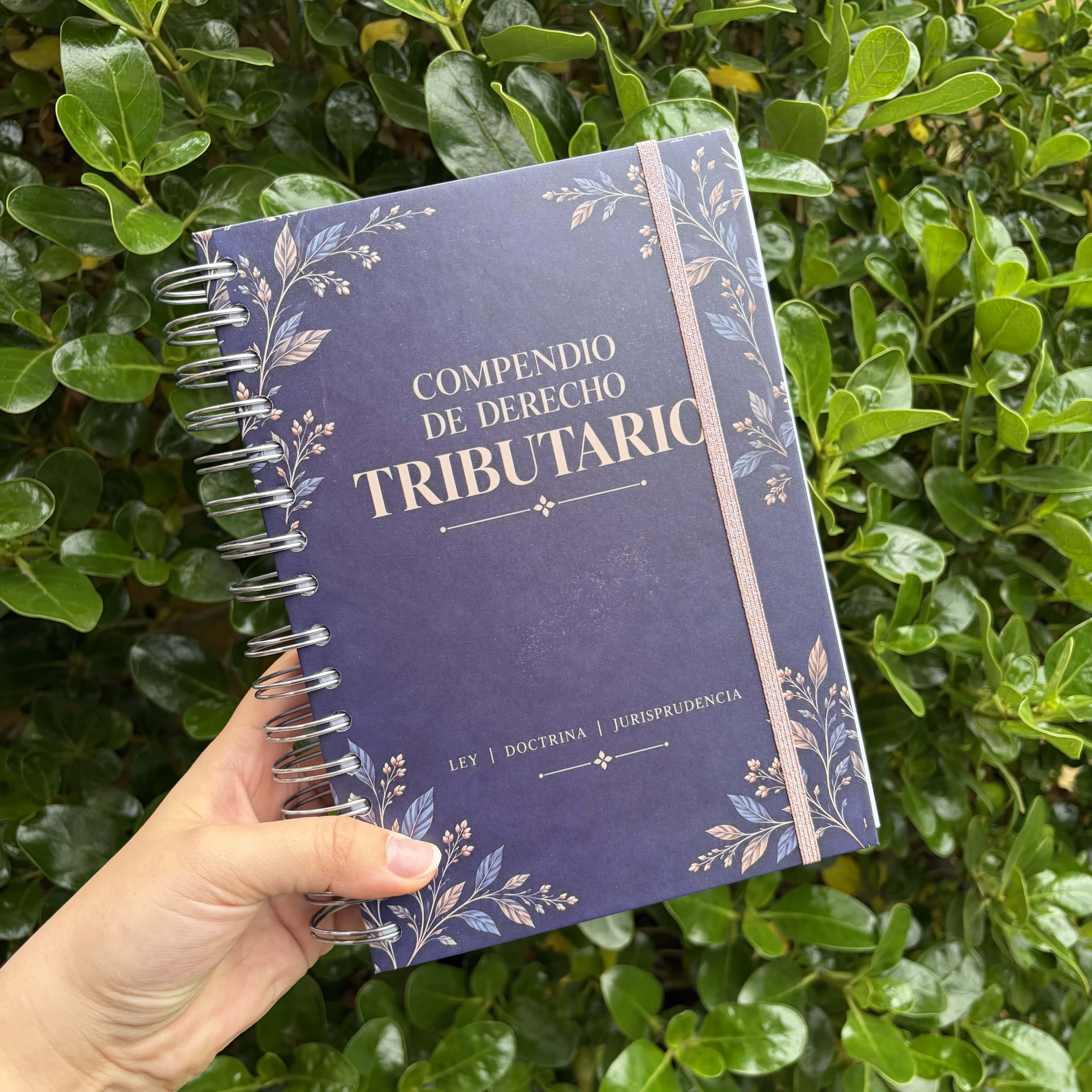 Compendio de Derecho Tributario