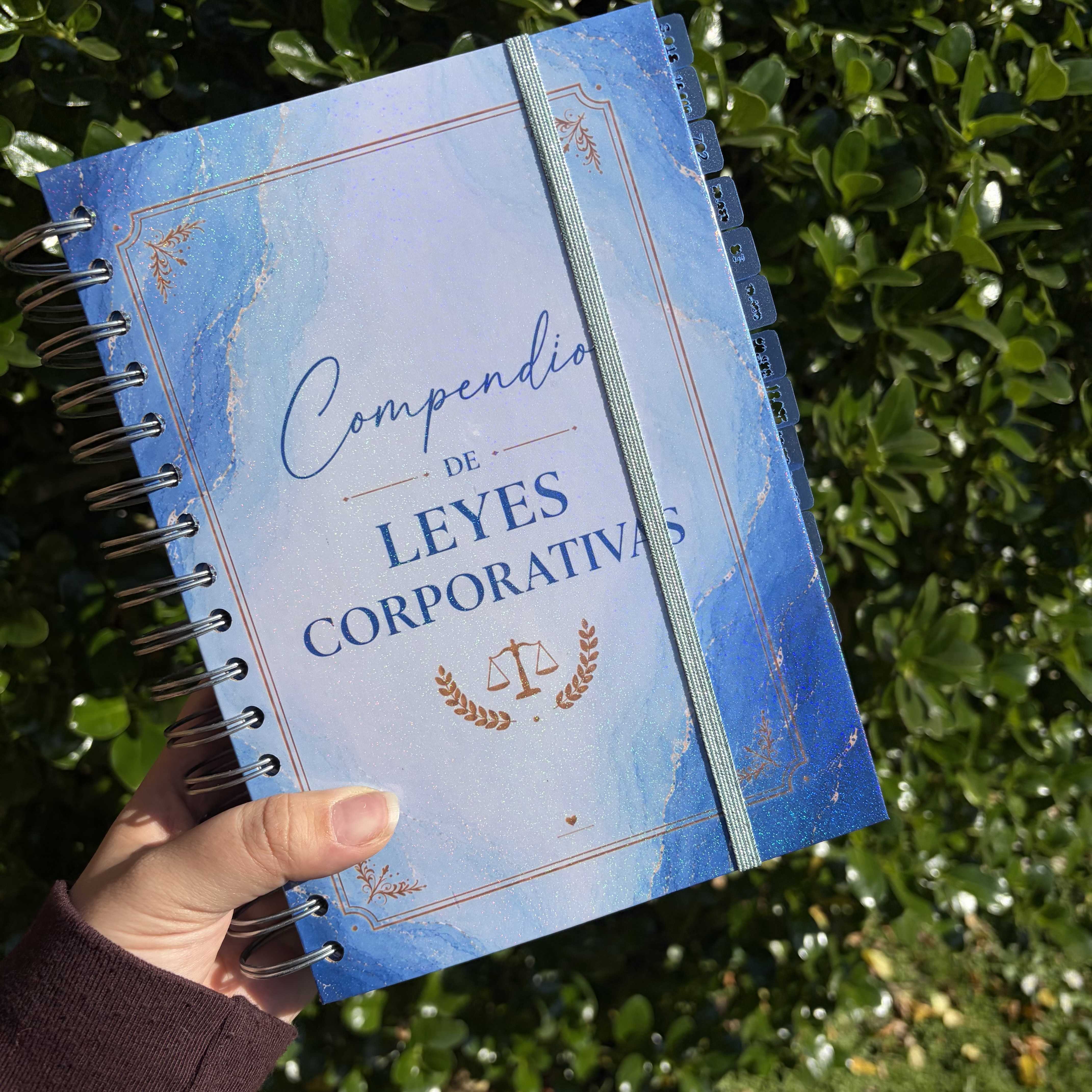 Compendio de Derecho Corporativo