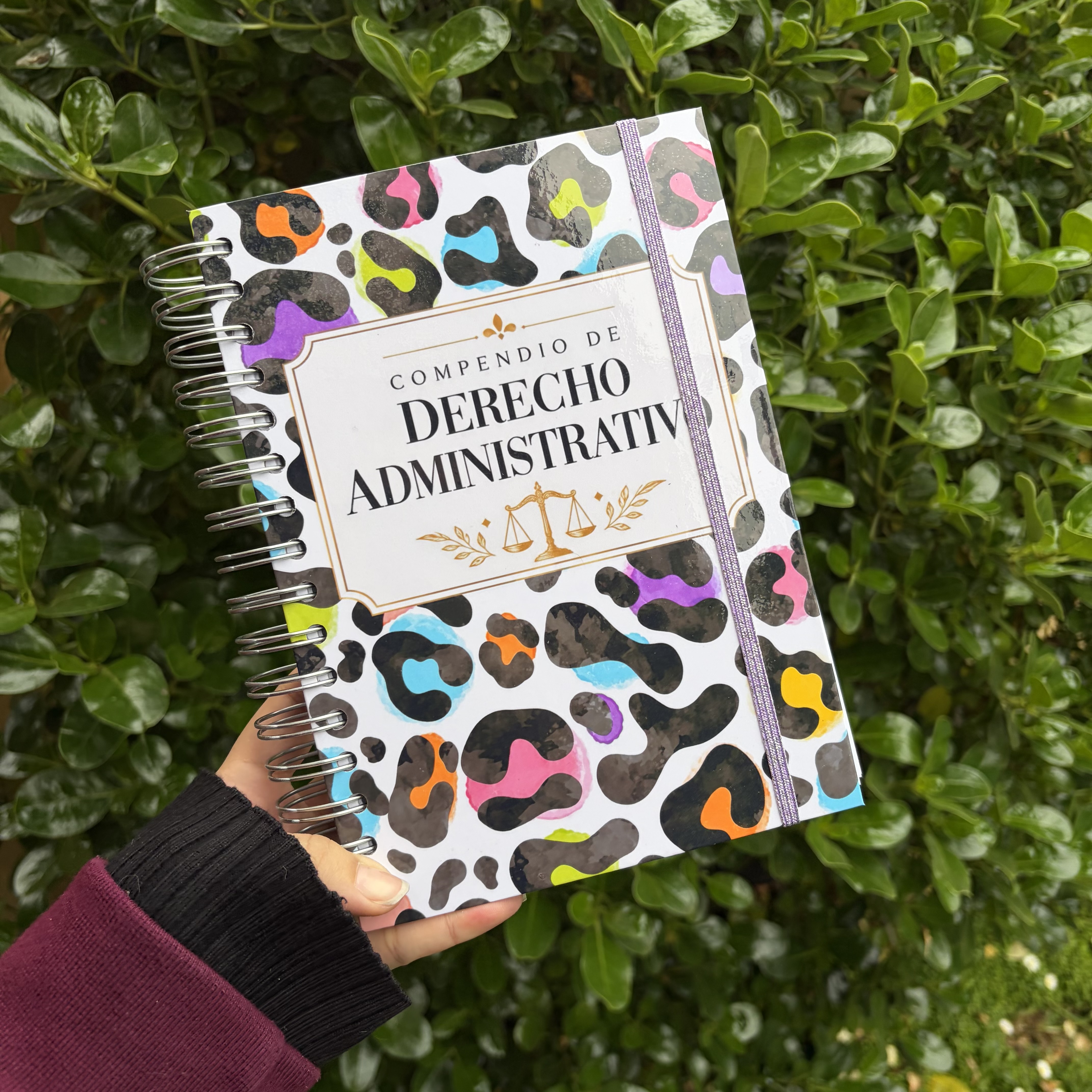 Compendio de Derecho Administrativo
