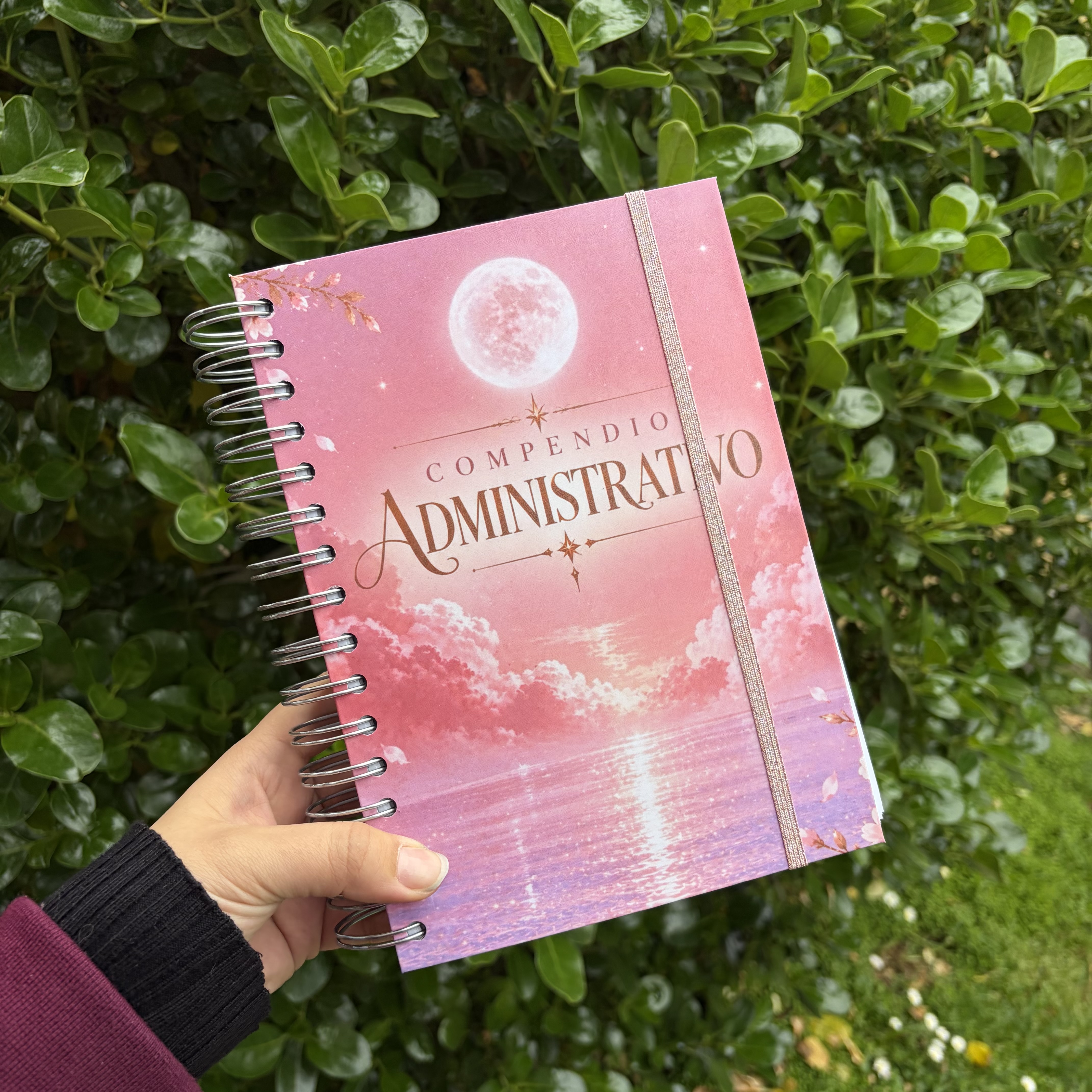 Compendio de Derecho Administrativo