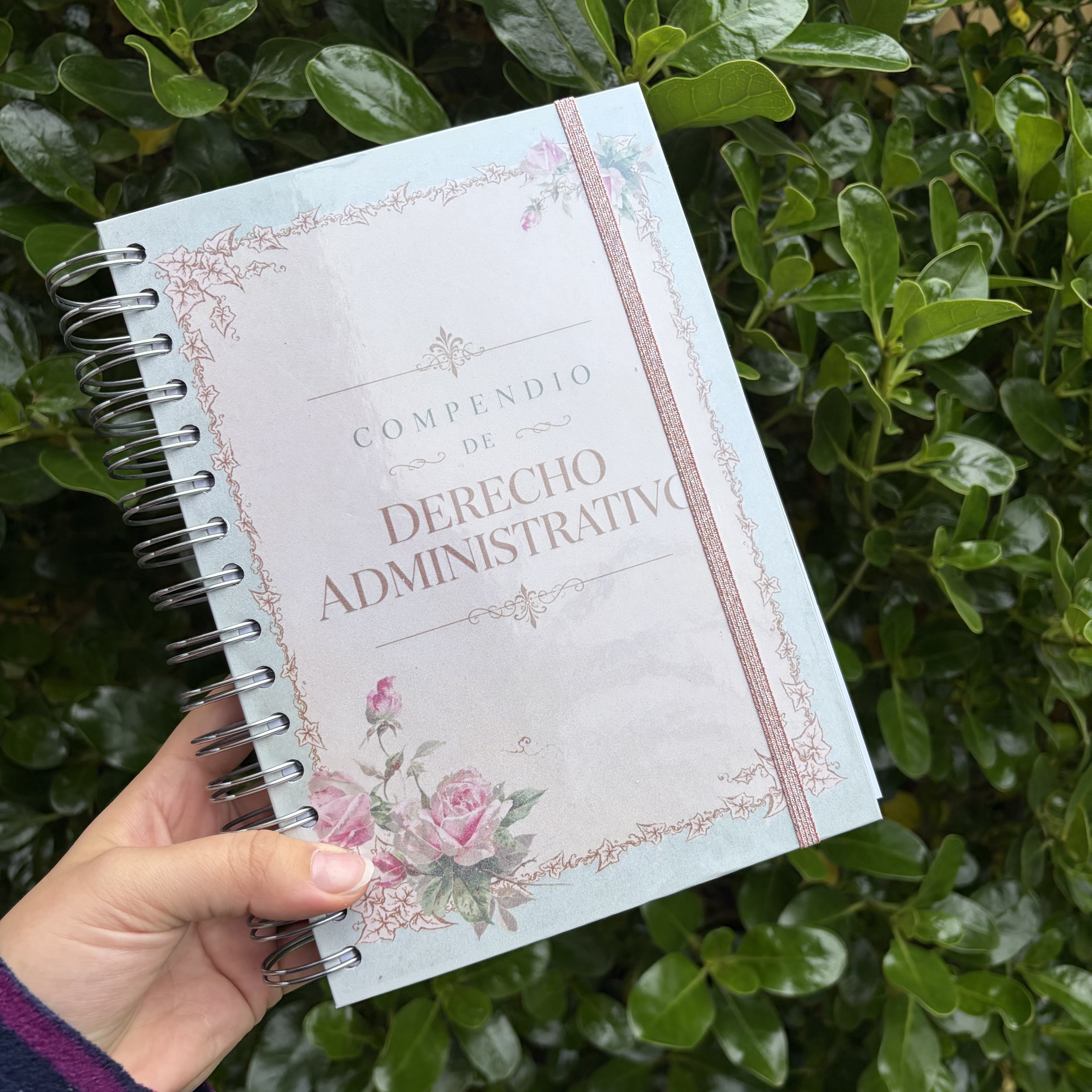 Compendio de Derecho Administrativo