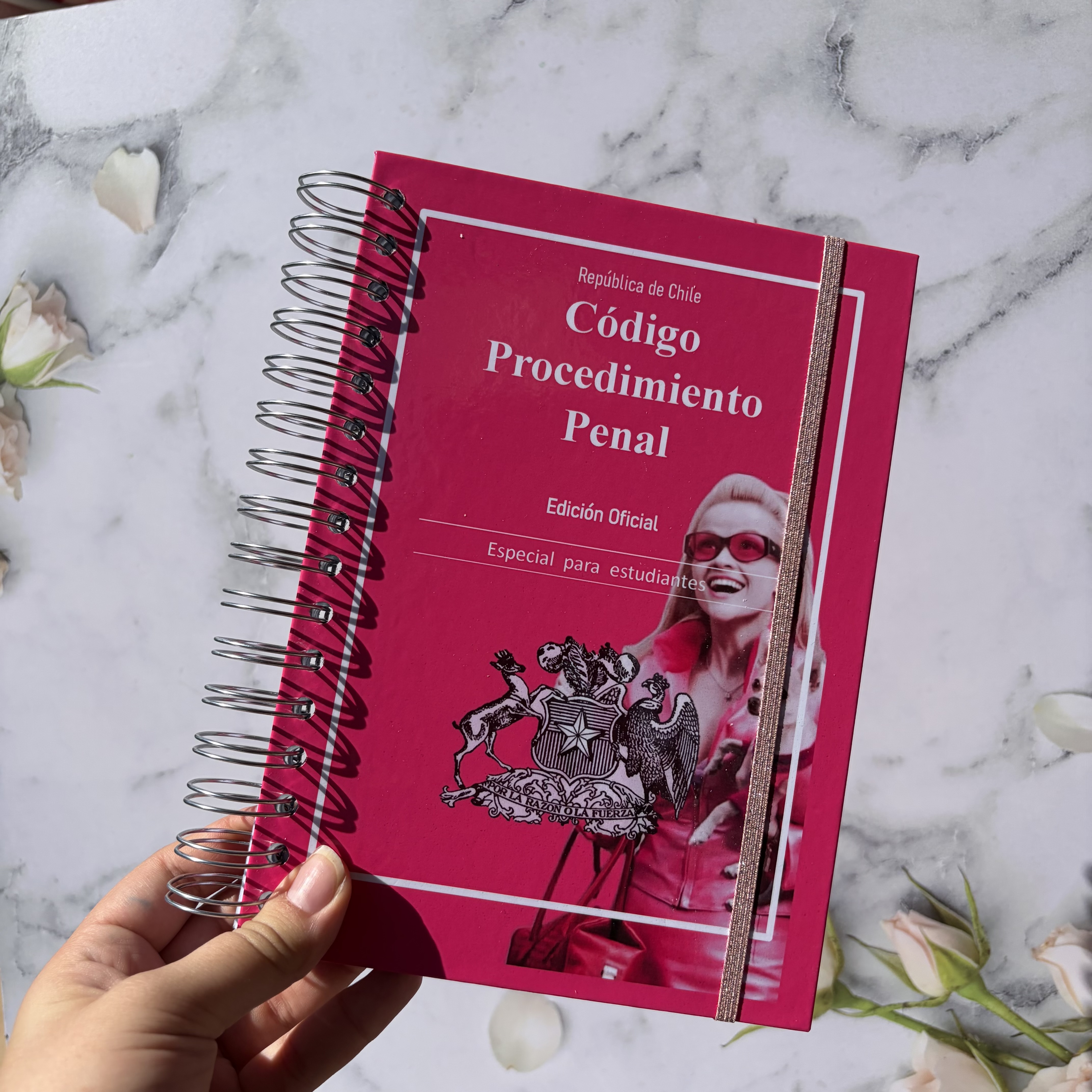 Código de Procedimiento Penal
