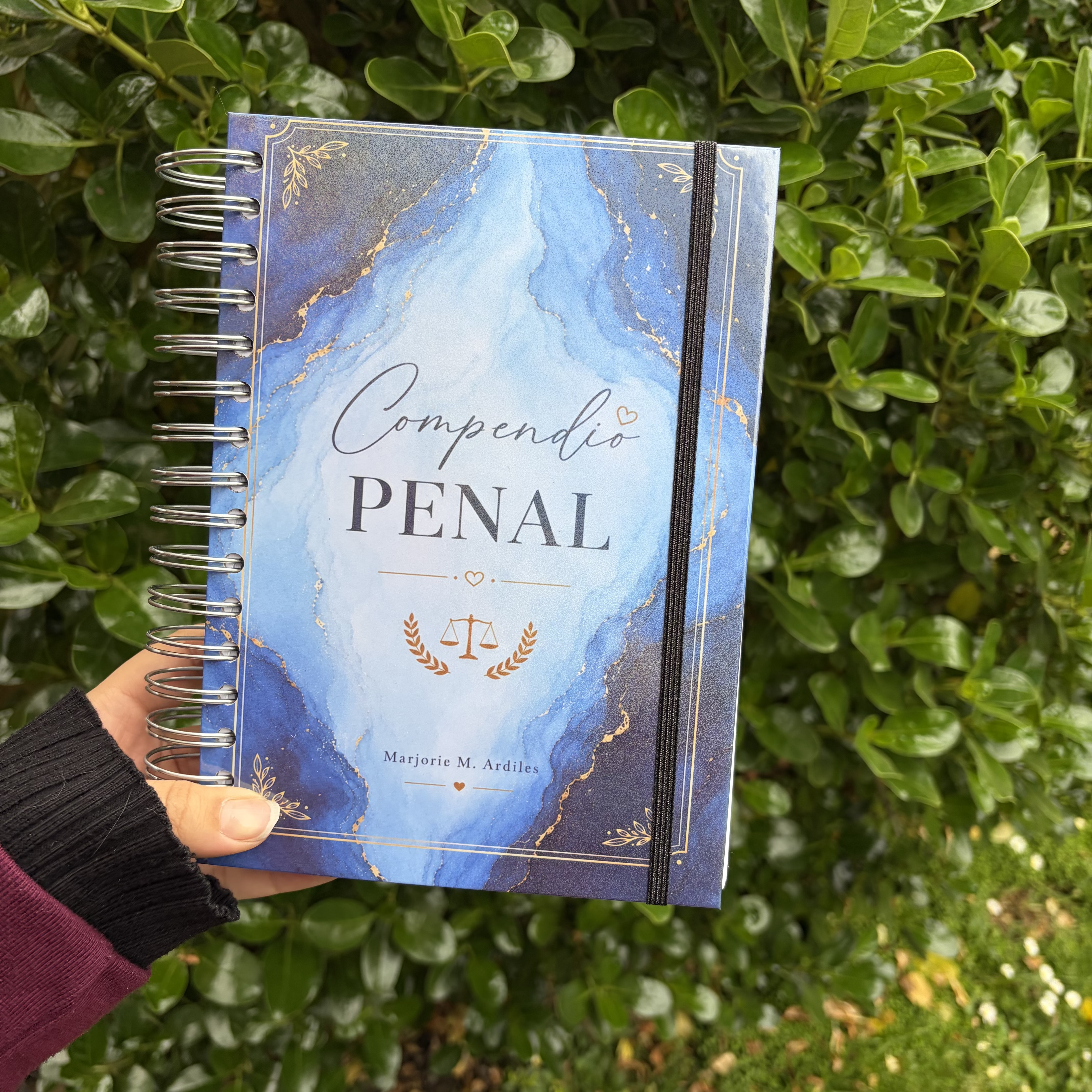 Compendio de Derecho Penal
