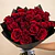 Ramo de 24 Rosas Rojas