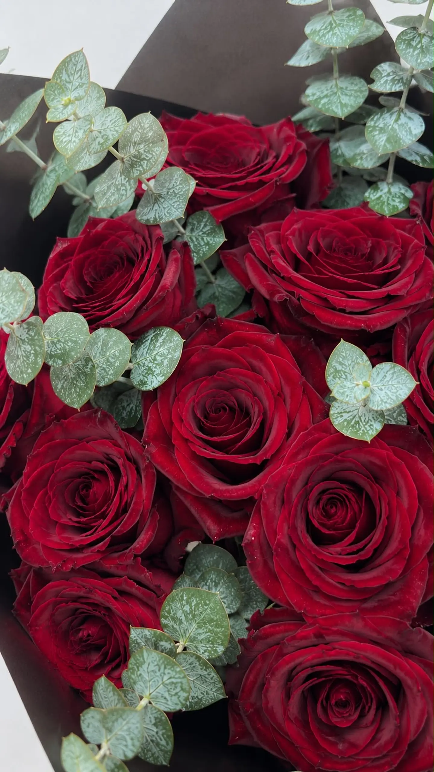 Ramo de 12 Rosas Rojas y eucalipto 3