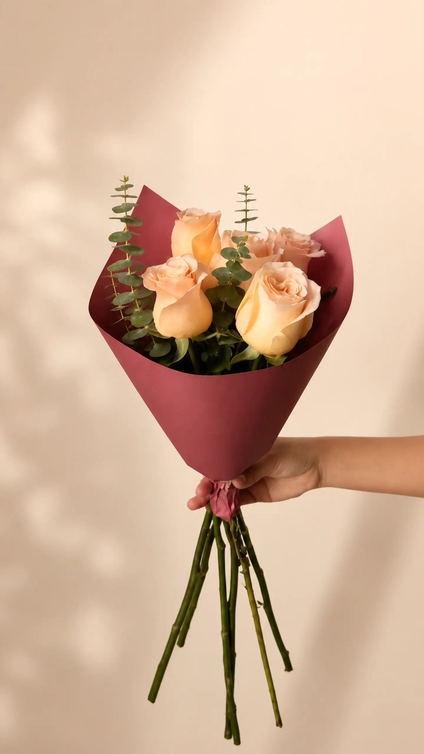 Ramo de 5 Rosas Rosadas y Eucalipto 1