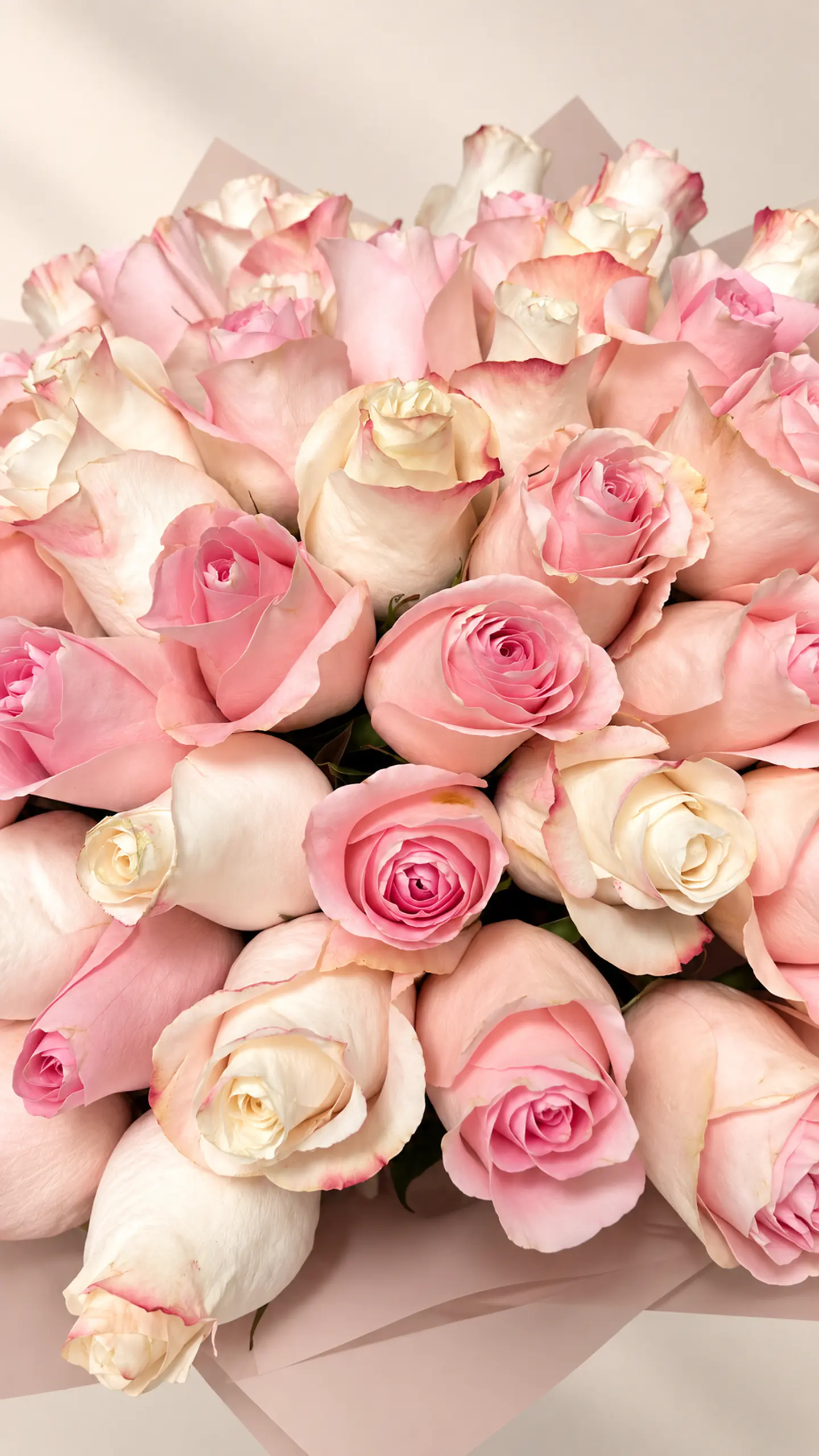 Ramo 50 Rosas Rosadas Mix 3