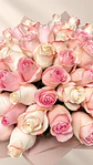 Ramo 50 Rosas Rosadas Mix - Miniatura 3