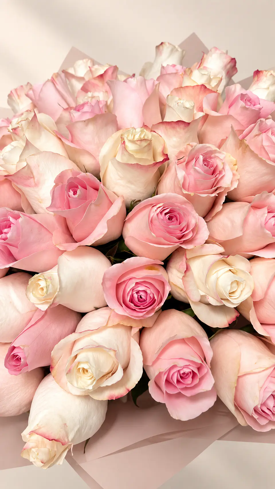 Ramo 50 Rosas Rosadas Mix 3