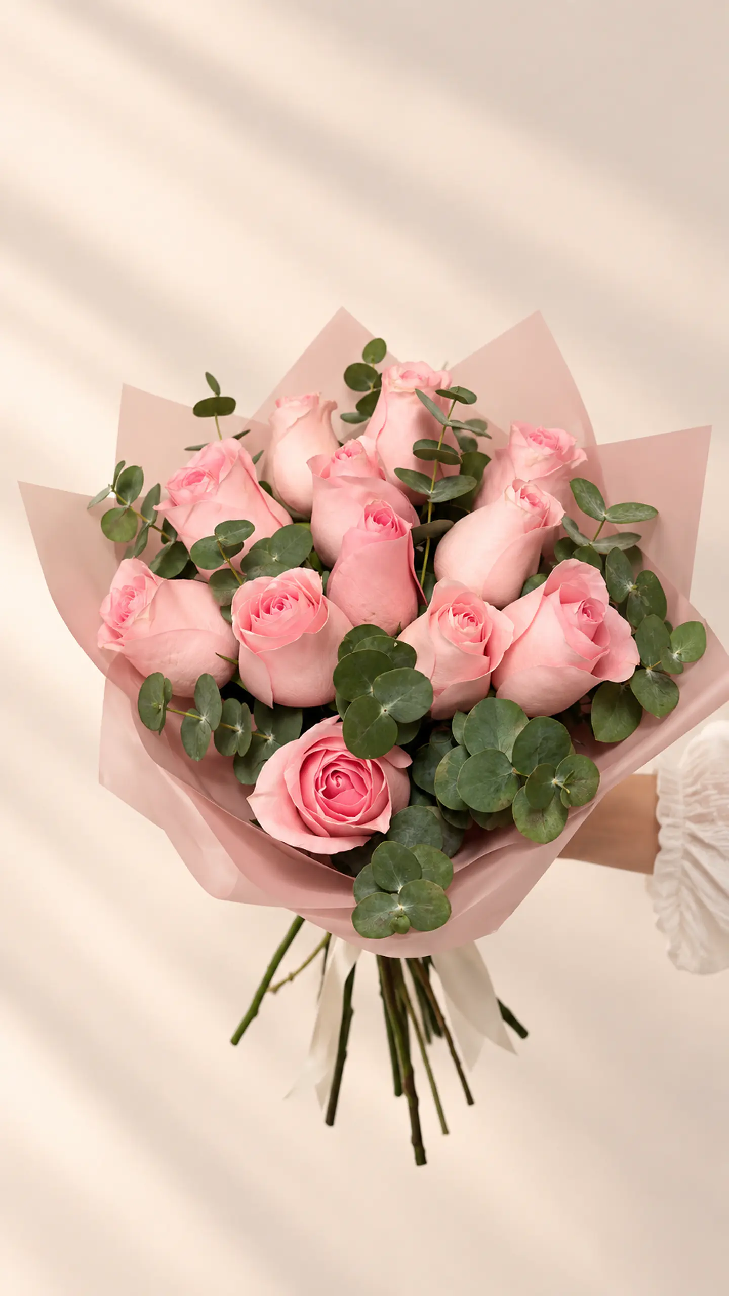 Ramo de 12 Rosas Rosadas y Follaje 2