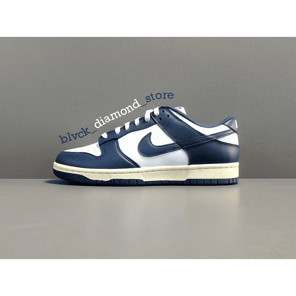 Nike Dunk Low Midnight Navy and White VINTAGE 1