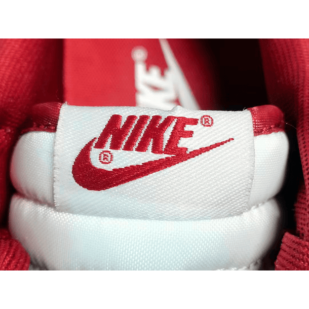 Nike Dunk Low Retro Team Red 6