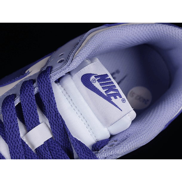 Nike Dunk Low Blueberry (GS) 6
