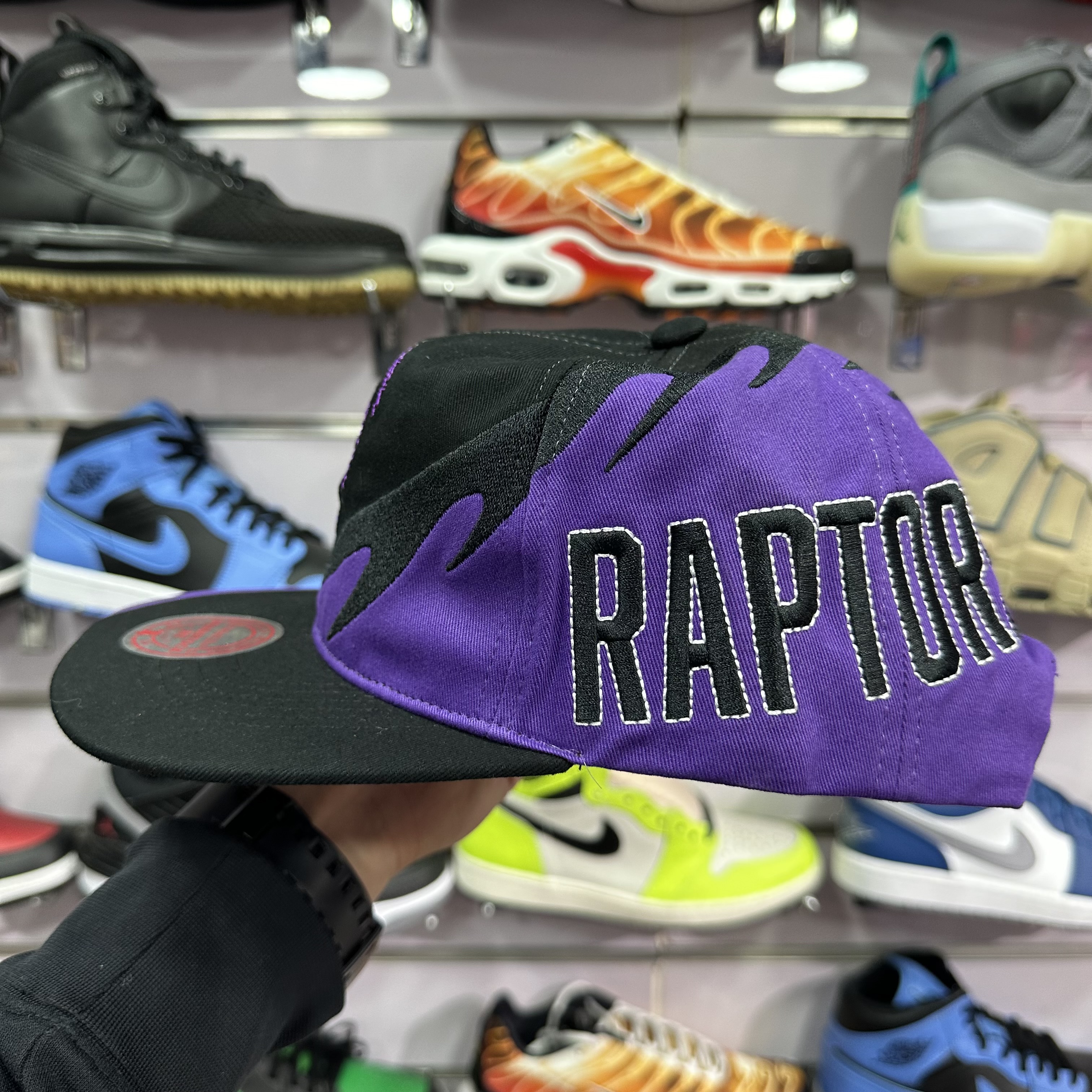 Gorros Toronto Raptors