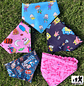 bandana perros temporada 2025 - Miniatura 1