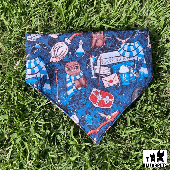 bandana perros temporada 2025 7