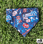 bandana perros temporada 2025 - Miniatura 7
