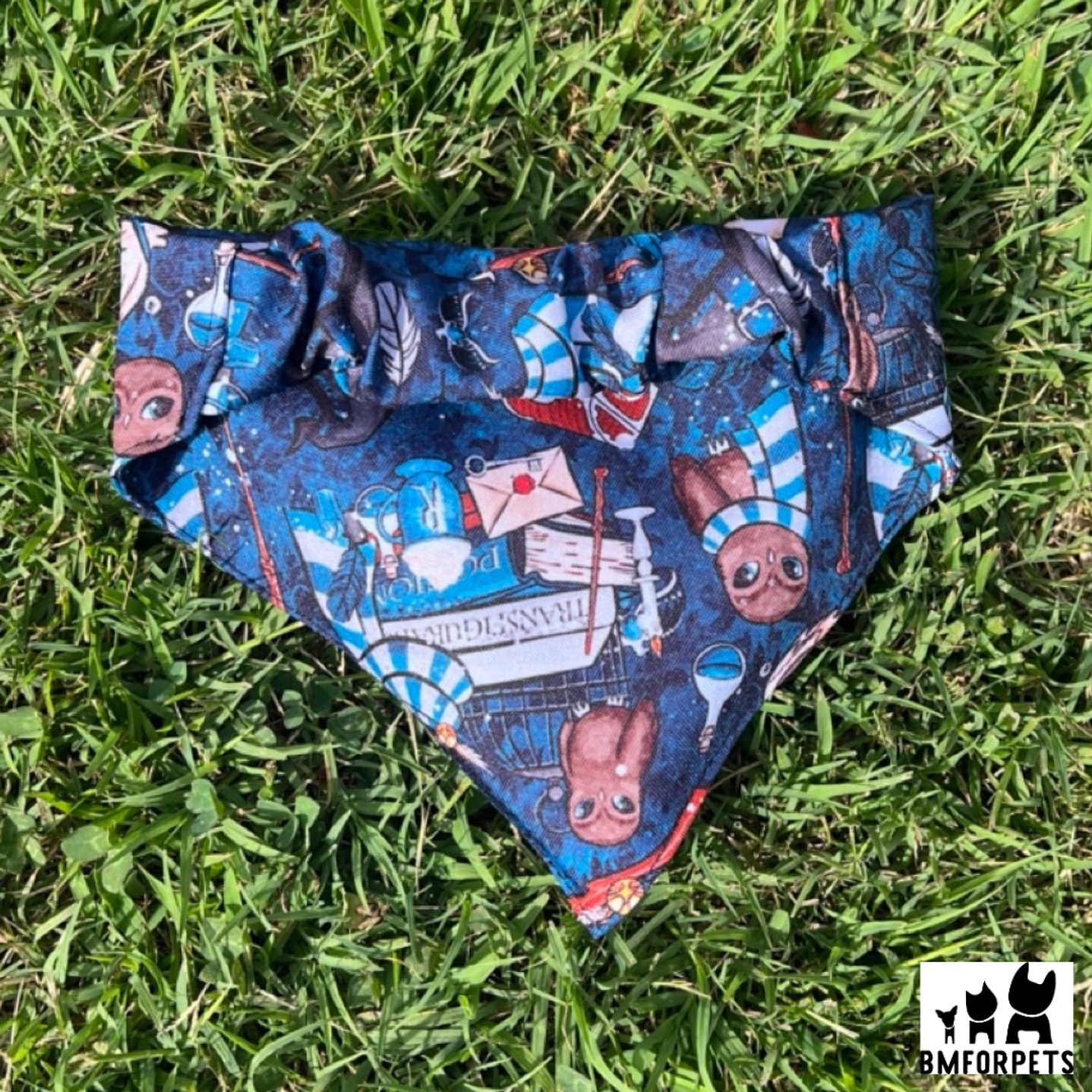 bandana perros temporada 2025 8