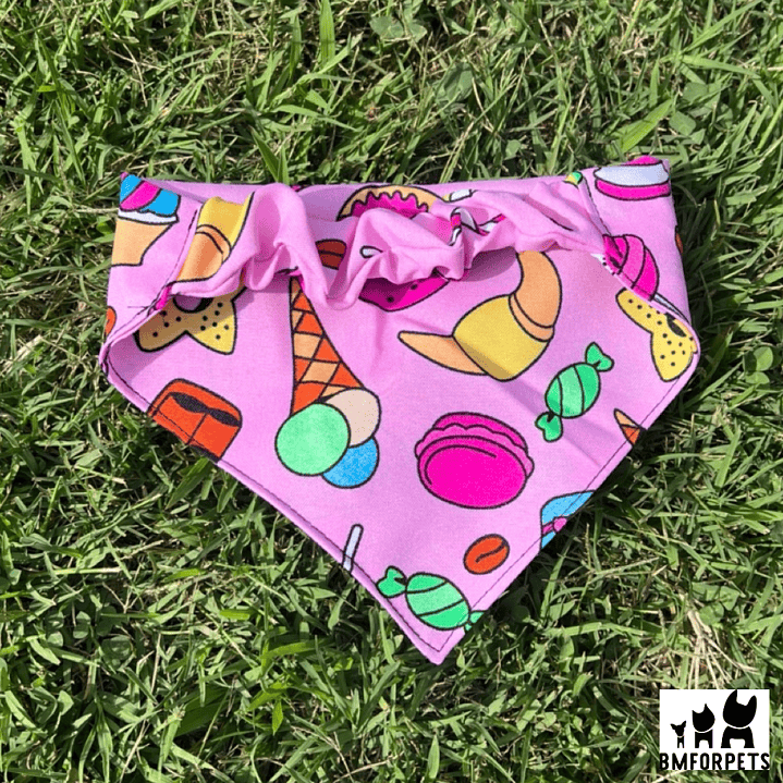 bandana perros temporada 2025 12